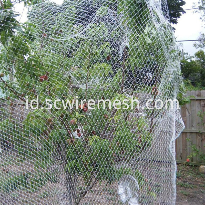 Fruit Bird Netting